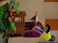Tn DSC 3219